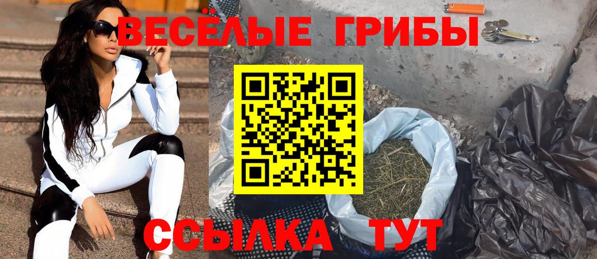 купить наркотик  Вход с VPN  Нефтекумск  Галлюциногенные грибы мицелий  Псилоцибиновые грибы Cubensis 